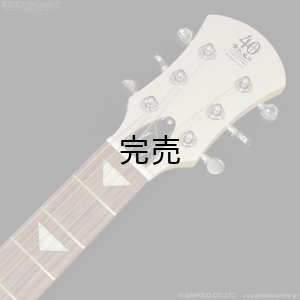 画像6: Pignose　PGG-JAIL GLITTER