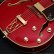 画像5: Epiphone　2019 Joe Pass Emperor II Pro WR [Wine Red] [中古品] (5)