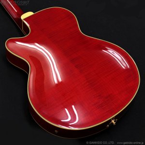 画像13: Epiphone　2019 Joe Pass Emperor II Pro WR [Wine Red] [中古品]