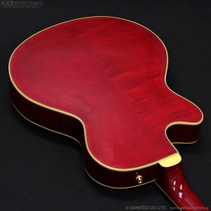 画像15: Epiphone　2019 Joe Pass Emperor II Pro WR [Wine Red] [中古品]