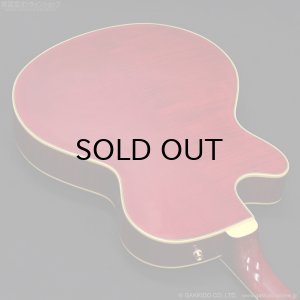 画像15: Epiphone　2019 Joe Pass Emperor II Pro WR [Wine Red] [中古品]