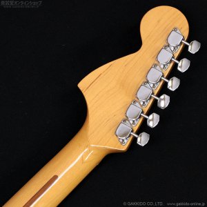画像12: Tokai　1981 SS-36 BB [中古品]