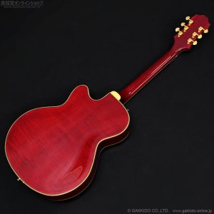 画像16: Epiphone　2019 Joe Pass Emperor II Pro WR [Wine Red] [中古品]