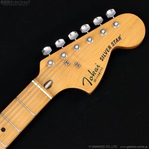 画像11: Tokai　1981 SS-36 BB [中古品]