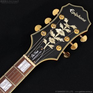 画像10: Epiphone　2019 Joe Pass Emperor II Pro WR [Wine Red] [中古品]