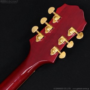 画像11: Epiphone　2019 Joe Pass Emperor II Pro WR [Wine Red] [中古品]