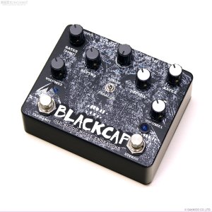 画像1: Old Blood Noise Endeavors　Blackcap  デュアルトレモロ
