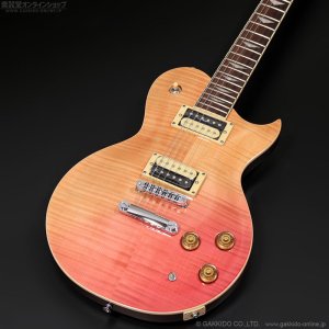 画像1: Aria Pro II　PE-JAIL 2025 ジェイル大橋 シグネチャーモデル