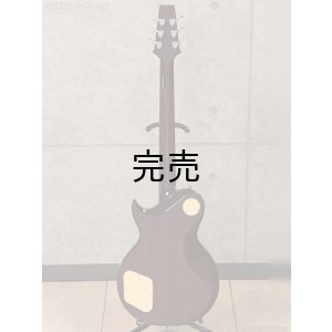 画像4: Aria Pro II　PE-JAIL 2025 ジェイル大橋 シグネチャーモデル