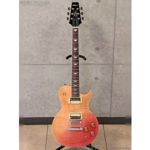 画像3: Aria Pro II　PE-JAIL 2025 ジェイル大橋 シグネチャーモデル