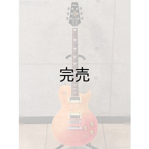 画像3: Aria Pro II　PE-JAIL 2025 ジェイル大橋 シグネチャーモデル