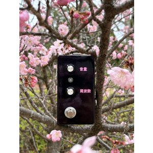 画像7: The Montreal Assembly　Your and You're [Plum Sparkle] 直輸入品