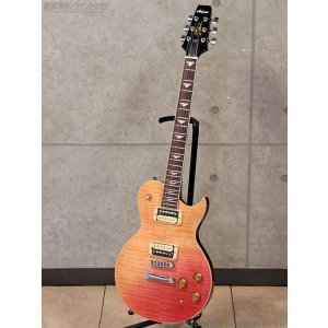 画像7: Aria Pro II　PE-JAIL 2025 ジェイル大橋 シグネチャーモデル