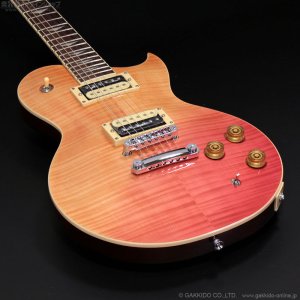 画像2: Aria Pro II　PE-JAIL 2025 ジェイル大橋 シグネチャーモデル