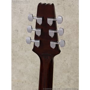 画像10: Aria Pro II　PE-JAIL 2025 ジェイル大橋 シグネチャーモデル