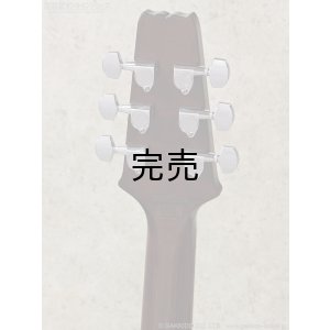 画像10: Aria Pro II　PE-JAIL 2025 ジェイル大橋 シグネチャーモデル