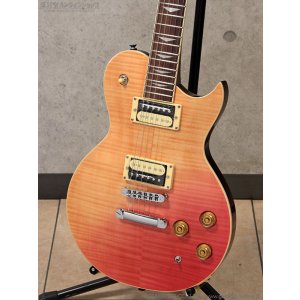 画像8: Aria Pro II　PE-JAIL 2025 ジェイル大橋 シグネチャーモデル