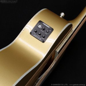 画像5: Gretsch　2018 G5021E Limited Edition Rancher Penguin Parlor [Casino Gold] [中古品]