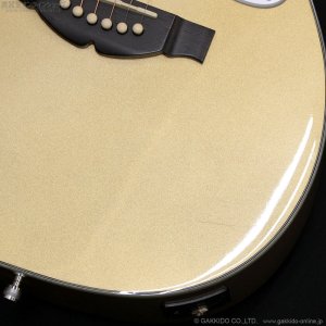 画像6: Gretsch　2018 G5021E Limited Edition Rancher Penguin Parlor [Casino Gold] [中古品]