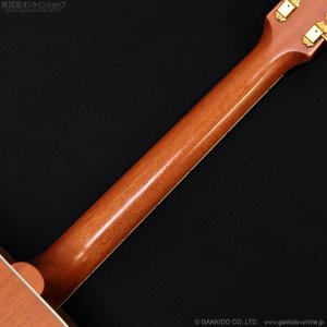 画像10: Gibson　2023 Hummingbird Faded [Natural] [中古品]