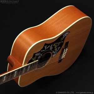 画像5: Gibson　2023 Hummingbird Faded [Natural] [中古品]
