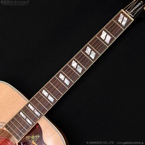 画像9: Gibson　2023 Hummingbird Faded [Natural] [中古品]