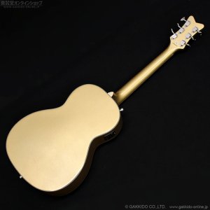 画像15: Gretsch　2018 G5021E Limited Edition Rancher Penguin Parlor [Casino Gold] [中古品]