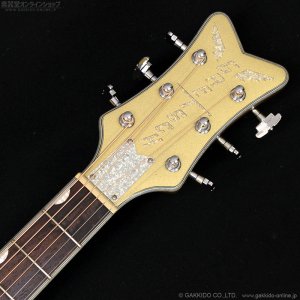 画像10: Gretsch　2018 G5021E Limited Edition Rancher Penguin Parlor [Casino Gold] [中古品]