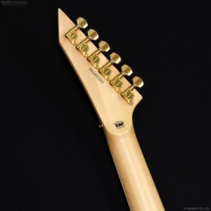 画像8: Edwards　E-ALEXI ARROWHEAD BK/YL [Black with Yellow Stripe]