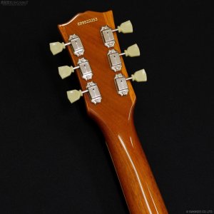 画像6: Edwards　E-LP-STD/P GO [Gold]