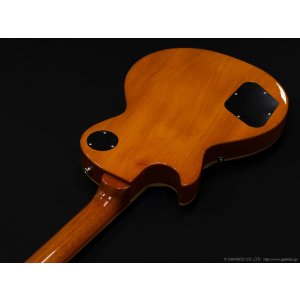 画像7: Edwards　E-LP-STD/P GO [Gold]