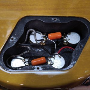 画像20: Tokai　2020 LSS230 SYW [中古品]