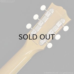 画像11: Tokai　2020 LSS230 SYW [中古品]