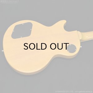 画像15: Tokai　2020 LSS230 SYW [中古品]