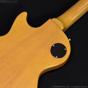 画像12: Tokai　2020 LSS230 SYW [中古品]