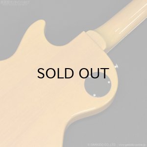 画像12: Tokai　2020 LSS230 SYW [中古品]