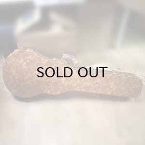 画像21: Tokai　2020 LSS230 SYW [中古品]