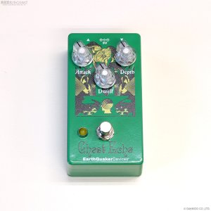 画像3: Earthquaker Devices　Ghost Echo Reverb [Brain Dead Graphic]