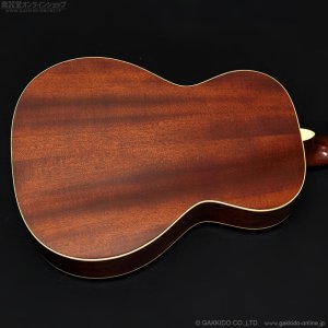 画像15: Martin　2015 CEO-7 [中古品]