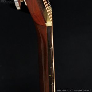 画像18: Martin　1999 D-28GE Golden Era [中古品]