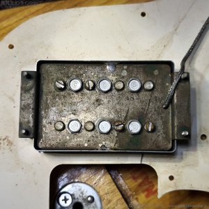 画像22: Fender　1972 Telecaster Bass [Natural] [ヴィンテージ品]