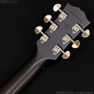 画像9: Gibson　J-45 Special [Satin Vintage Sunburst]