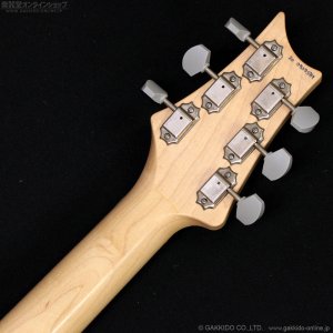 画像14: Paul Reed Smith (PRS)　Silver Sky John Mayer Signature 2020 Frost (Maple) [中古品]