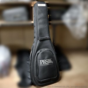 画像20: Paul Reed Smith (PRS)　Silver Sky John Mayer Signature 2020 Frost (Maple) [中古品]