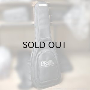 画像20: Paul Reed Smith (PRS)　Silver Sky John Mayer Signature 2020 Frost (Maple) [中古品]