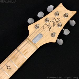 画像13: Paul Reed Smith (PRS)　Silver Sky John Mayer Signature 2020 Frost (Maple) [中古品]