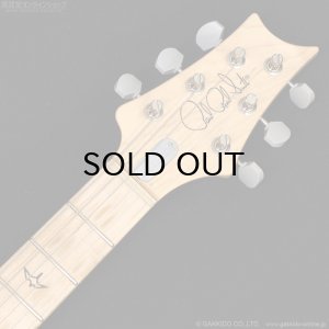 画像13: Paul Reed Smith (PRS)　Silver Sky John Mayer Signature 2020 Frost (Maple) [中古品]
