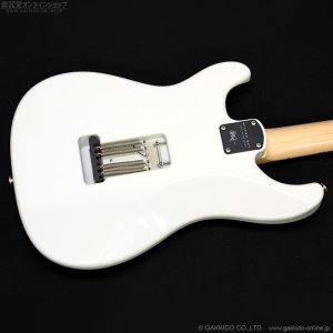 画像17: Paul Reed Smith (PRS)　Silver Sky John Mayer Signature 2020 Frost (Maple) [中古品]