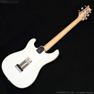 画像19: Paul Reed Smith (PRS)　Silver Sky John Mayer Signature 2020 Frost (Maple) [中古品]