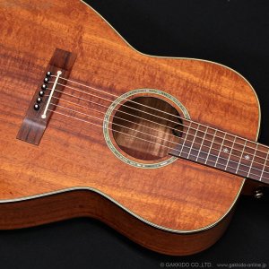画像9: Takamine　2011 PTU431K N [中古品]